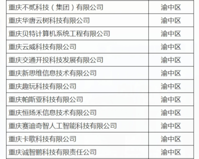 渝中12家企業(yè)入選重慶首批“滿天星”示范企業(yè)，引領(lǐng)軟件開(kāi)發(fā)新高度